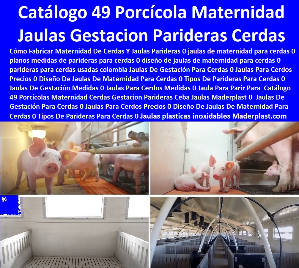 Catálogo 49 Porcicola Maternidad Cerdas Gestación Parideras Ceba Jaulas Maderplast 0  Jaulas De Gestación Para Cerdas 0 Jaulas Para Cerdos Precios 0 Diseño De Jaulas De Maternidad Para Cerdas 0 Tipos De Parideras Para Cerdas 0 Catálogo 49 Porcicola Maternidad Cerdas Gestación Parideras Ceba Jaulas Maderplast 0  Jaulas De Gestación Para Cerdas 0 Jaulas Para Cerdos Precios 0 Diseño De Jaulas De Maternidad Para Cerdas 0 Tipos De Parideras Para Cerdas 0